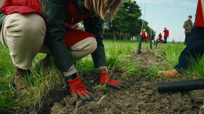 070324 - Conad Calendasco_1.17.1.jpg